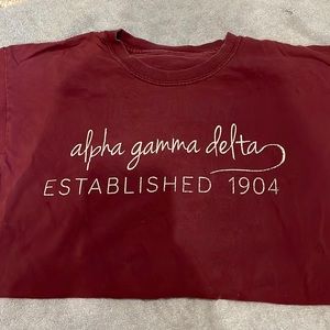 Alpha gamma delta T-shirt